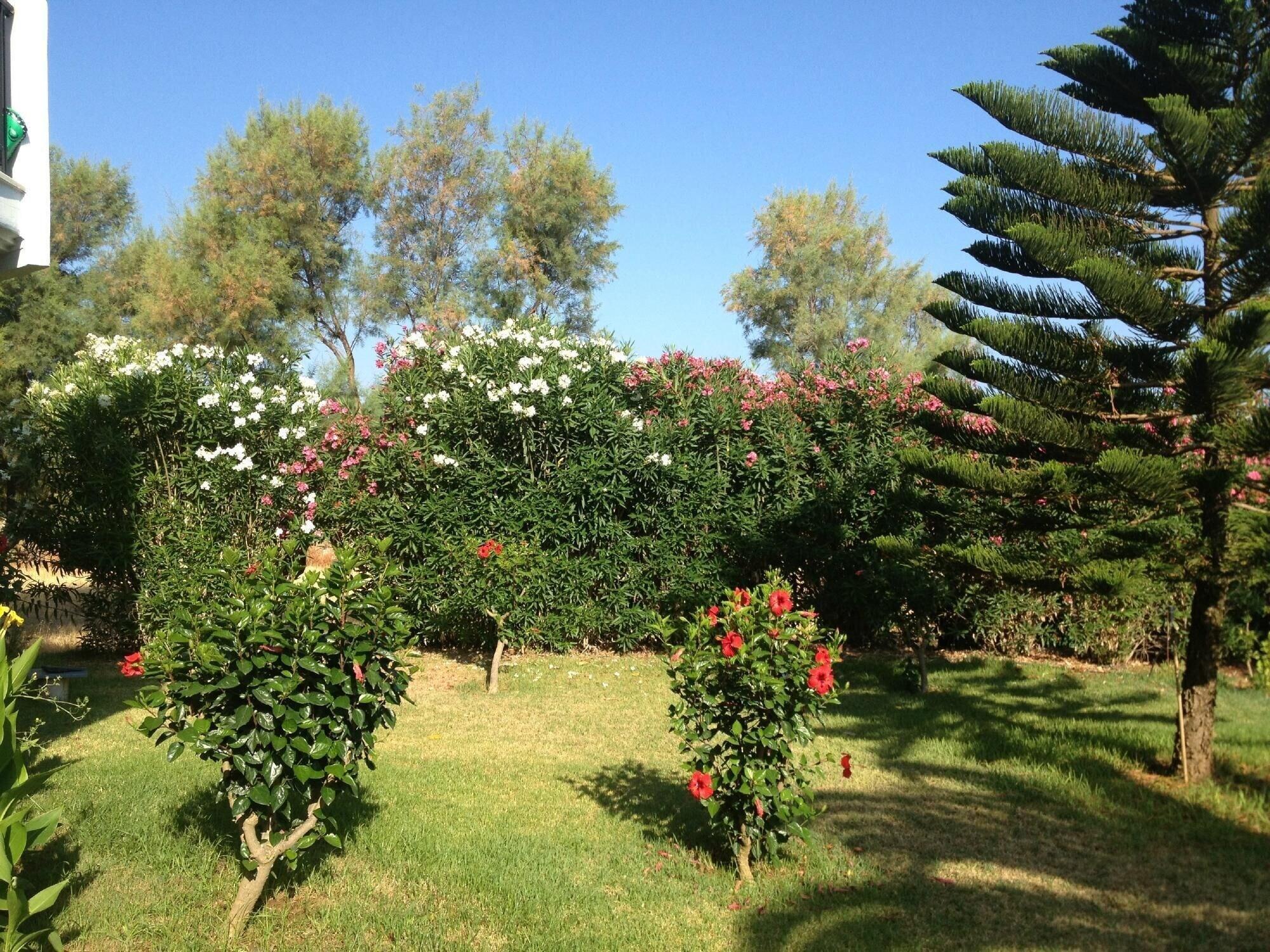 גרני צ'ניון Lito Beach Hotel מראה חיצוני תמונה